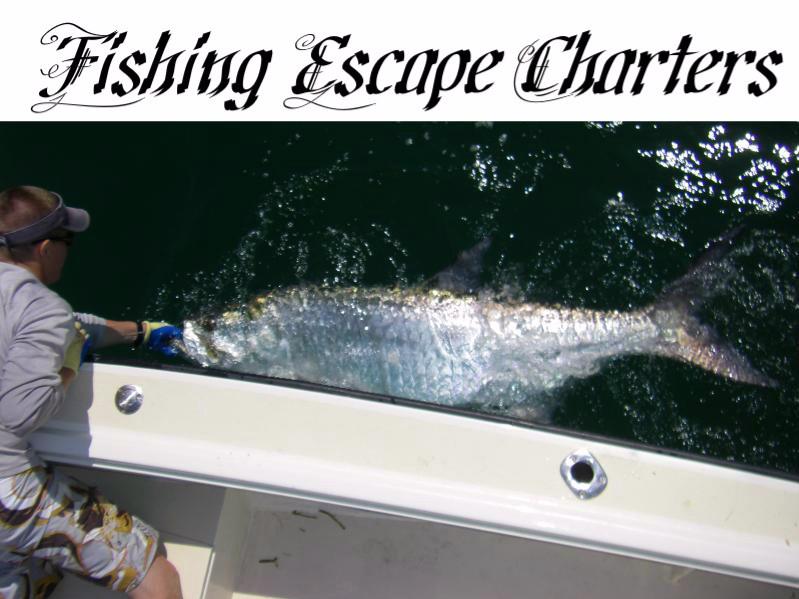 Fishing Escape Charters
